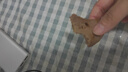臻媚絲襪女夏季薄款防勾絲0D透明黑絲過膝長筒襪花邊漁網(wǎng)襪 黑色 7126 曬單實(shí)拍圖