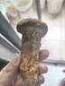 華田禾邦香格里拉新鮮松茸1斤 出口級精選A級9-12CM 禮盒高端云南源頭直發(fā) 曬單實拍圖