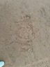 駱駝（CAMEL）【蜜蜂包】戶外騎行徒步登山包旅游輕便爬山背包運動雙肩包4633 曬單實拍圖