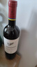 拉菲（LAFITE）理德小飛人赤霞珠干紅葡萄酒 750ml 單瓶裝原瓶進(jìn)口紅酒 曬單實(shí)拍圖