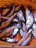 BKUMAN12編進口原絲ygkpe jp線超順滑路亞釣魚線遠投大力馬超強拉力主線 真原絲 【12編ygkpe jp線】100米 1.5 曬單實拍圖