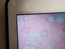 原裝適用蘋果ipad充電器iPad6/7/8/9代平板12w蘋果平板快充air2Pro/min4/3充電頭套裝A2197 【iPad套裝】快充頭+1米數(shù)據(jù)線 曬單實(shí)拍圖