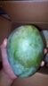 【新鮮上市】正宗攀枝花凱特芒果新鮮水果 帶箱2斤200g+ 曬單實拍圖
