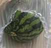 京鮮生 無(wú)籽麒麟大西瓜 1粒裝 7-9斤 生鮮水果 曬單實(shí)拍圖