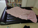 Bestway充氣床墊家用氣墊床戶外防潮墊帳篷墊陪護(hù)床墊191*137*30cm+電泵 曬單實(shí)拍圖