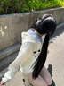 魯雅爾可愛貓咪刺繡假兩件連帽衛(wèi)衣女早秋季新款小個子設(shè)計感寬松上衣服 白色 春秋款 L 曬單實拍圖