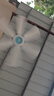 鉆石牌大吊扇加大扇葉升級高速電機小吊扇大風(fēng)力電風(fēng)扇蚊帳扇家用學(xué)生宿舍輕音電風(fēng)扇吊式小電扇 曬單實拍圖
