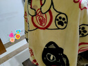 大英博物館巴斯特系列萌貓抱福毛毯收納抱枕蓋毯送女友生日七夕情人節(jié)禮物 曬單實(shí)拍圖