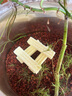 yee細(xì)菌屋水族箱濾材水族過(guò)濾材料硝化細(xì)菌陶瓷環(huán)魚(yú)缸濾材 細(xì)菌屋【小方號(hào)】10塊 曬單實(shí)拍圖