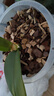 仙兔粗椰殼磚營(yíng)養土蘭花專(zhuān)用植料石斛月季透氣椰塊脫鹽粗椰糠椰磚 【精選塑封】粗椰殼【500g*5塊】 曬單實(shí)拍圖