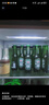 喜力經(jīng)典330ml*24瓶整箱裝 喜力啤酒Heineken  曬單實(shí)拍圖