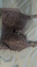 茜茜公主調(diào)整型文胸性感內(nèi)衣女胸罩小胸聚攏收副乳防下垂矯正上托 迷迭棕 85C 曬單實(shí)拍圖
