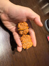 核蕓社文玩核桃蛤蟆頭淶水麻核桃精品蛤蟆手把件節(jié)日禮物送文玩4件套 40mm蛤蟆頭一對(duì) 曬單實(shí)拍圖