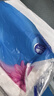 得力（deli）【缺頁十倍賠】五聯(lián)三等分針式打印紙 可撕邊電腦打印紙 彩色(白紅藍(lán)綠黃)出庫送貨單1000頁/箱 曬單實(shí)拍圖