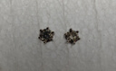 喜鉆【現(xiàn)貨閃發(fā)】鉆石耳釘女克拉經(jīng)典皇冠六爪鉆石耳飾送女友生日禮物 【現(xiàn)貨】鉑金共20分/對 曬單實(shí)拍圖