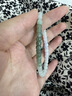 凈心石【七夕禮物】A貨翡翠手串 男女款老型珠漸變色單圈手鏈附證書 曬單實(shí)拍圖