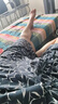 舒雅【純棉】男士翻領(lǐng)印花短袖短褲睡衣家居服套裝 曬單實(shí)拍圖