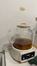 半球（PESKOE）0膠水全玻璃全自動養(yǎng)生壺 1.2L 辦公室多功能煮茶壺 燒水壺煮茶器花茶壺 JX-100 濾網(wǎng)款 曬單實拍圖