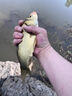 久巖無結(jié)金海夕子線雙鉤成品野釣鯽鯉魚鉤子綁好正品翹嘴專用子線 60cm無結(jié)金海夕無刺【鉤8線2.0】 無規(guī)格 曬單實(shí)拍圖