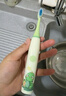 小米狼聲波兒童電動(dòng)牙刷3-6-12歲-15歲家用充電式全身水洗細(xì)軟毛刷頭牙刷超長(zhǎng)續(xù)航深度清潔護(hù)齦防蛀去漬 【充電款3刷頭】萌動(dòng)綠3-12歲 曬單實(shí)拍圖