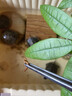 加長(cháng)鑷子烏龜缸水草夾子不銹鋼加厚花卉專(zhuān)用夾子多肉植物種植工具 不銹鋼加長(cháng)鑷子1把【直頭30cm】 曬單實(shí)拍圖