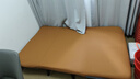 景彩沙發(fā)床家用客廳沙發(fā)單雙人午休床折疊床沙發(fā)椅家用小沙發(fā)SF225 橘色-免洗貓抓布【190*120cm】 曬單實(shí)拍圖
