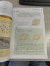 材料科學(xué)與工程基礎(chǔ)（原著第4版 中譯本） 曬單實拍圖