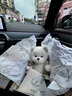 莉娜熊（TeddyTales）小熊玩偶毛絨玩具泰迪手作熊公仔娃娃生日禮物女生 荷花中奶白 含鞋 搭配短毛崽崽 禮盒裝 曬單實(shí)拍圖