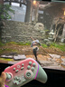 蓋世小雞（GAMESIR）超新星無線游戲手柄帶底座 適用switch2手機(jī)PC安卓Steam電腦NS2pro電視體感藍(lán)牙有線粉色雙人成行 曬單實拍圖