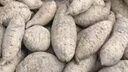 正宗廣東潮汕現(xiàn)挖白皮板栗軟糯農家雞蛋番薯瓜白皮板栗薯原雞蛋黃 精選中果5斤帶箱 曬單實拍圖