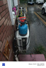 綠林噴霧器3L農(nóng)藥手動(dòng)氣壓式噴水壺消毒打藥機(jī)噴壺園藝家用澆花酒精壺 曬單實(shí)拍圖
