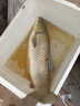 領(lǐng)路人刺客巨物魚竿手竿鰱鳙大物魚竿超硬青鱘無(wú)鉛拖釣7.2m 7H19調(diào) 曬單實(shí)拍圖