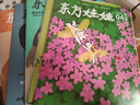 東方娃娃雜志 2025年4月五刊 智力+繪本+美術(shù)+科學(xué)+數(shù)學(xué) 曬單實(shí)拍圖
