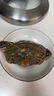 紅膏嗆蟹整只咸蟹熗蟹即食韓國(guó)醬母蟹寧波舟山梭子蟹糊螃腌生腌蟹 熱賣推薦【4-6兩】到手2只 曬單實(shí)拍圖