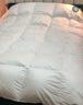 富安娜 新香榭麗 抗菌95%白鵝絨羽絨被 加厚冬被1100g填充230*229cm 曬單實拍圖