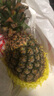 海南金鉆鳳梨香甜無(wú)渣多汁手撕大鳳梨非菠蘿產(chǎn)地直發(fā) 中果帶箱8斤裝 曬單實(shí)拍圖