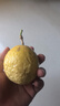 京鮮生欽蜜9號(hào)黃金百香果 3斤凈重90g+/9-15個(gè)  生鮮水果 源頭直發(fā) 曬單實(shí)拍圖