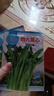 四季播種四九菜心種子菜心種籽耐高溫陽(yáng)臺(tái)盆栽地栽易種植蔬菜青菜 四九菜心種子【3包約4500?！?原廠封裝 曬單實(shí)拍圖