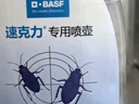 巴斯夫速克力呋蟲胺蟑螂藥全窩端殺蟲劑噴霧滅蟑螂殺蟑螂除下水道10g 曬單實拍圖