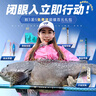 沃鼎王者神劍三代釣魚竿碳纖維超輕鯽魚竿大物竿魚桿臺釣竿6.3米 5.5H 曬單實(shí)拍圖