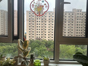京東家政3小時(shí)日常保潔單次兌換券 全屋保潔服務(wù) 上門(mén)清潔 可使用地區(qū)見(jiàn)商詳頁(yè) 曬單實(shí)拍圖