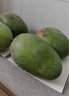 京鮮生 攀枝花凱特芒果 凈重8.5斤 帶箱9斤 單果400g+ 生鮮水果源頭直發(fā) 曬單實(shí)拍圖