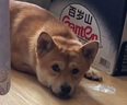 飛旺辣條大禮包湖南特產(chǎn)兒時懷舊零食休閑臭干子混搭640g共40包 曬單實拍圖