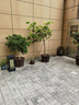 雷馨太陽能草坪燈庭院景觀燈花園別墅柱頭燈公園戶外防水新中式草地?zé)?太陽能/接電兩用款 250*250*600mm 曬單實(shí)拍圖