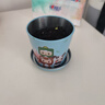 IAM City Farmer含羞草迷你盆栽 兒童diy種植小盆栽套裝植物觀察日記小禮物10026 曬單實拍圖