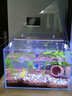 呆寵兒超白裸缸烏龜缸裸缸款水草缸金魚(yú)缸小型水族箱高清透亮魚(yú)缸生態(tài)缸 60*30*35加厚6mm 中型 金晶超白玻璃 曬單實(shí)拍圖