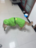 華元寵具（hoopet）柴犬雨衣柯基青蛙斗篷夏季小狗小中型犬防水防臟外出寵物狗狗雨披 L-脖圍48CM背長51cm建議30-35斤 曬單實拍圖