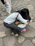 Melissa（梅麗莎）新款Free系列時尚簡約可愛女士面包果凍拖鞋33772 橙色/粉色 36 曬單實拍圖