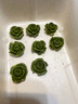 束語(yǔ)英國(guó)玫瑰花硅膠模具九連巧克力蛋糕翻糖食品級(jí)烘焙工具花朵立體小 九連玫瑰翻糖模具-1個(gè)裝 曬單實(shí)拍圖
