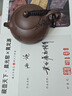 藏壺天下【晨光窯·造】宜興紫砂壺 黃龍?jiān)吹撞矍?竹鳥西施壺 手工制作 西施 180ml 曬單實(shí)拍圖